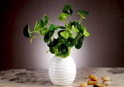 微飾界旗艦店中的裝飾花瓶官網(wǎng)價格貴嗎 - 秀給網(wǎng)裝修隊